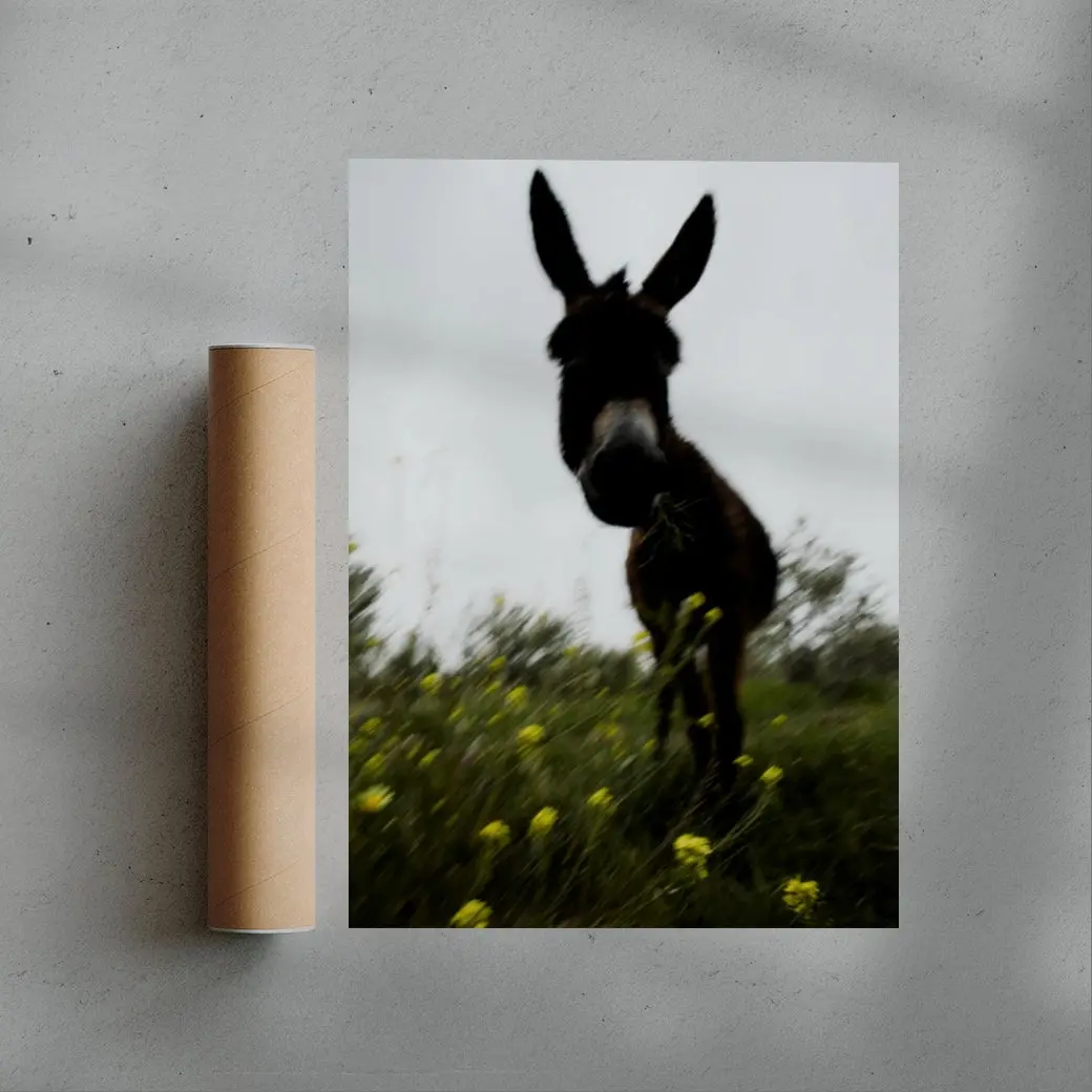 Morning Donkey - Image 3