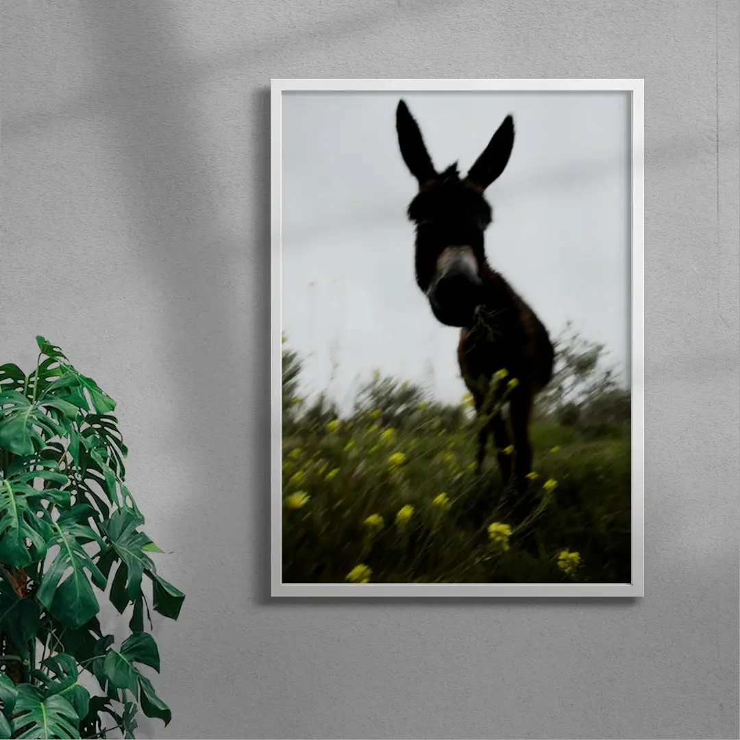 Morning Donkey - Image 5