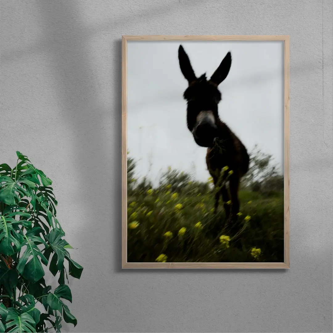 Morning Donkey - Image 6