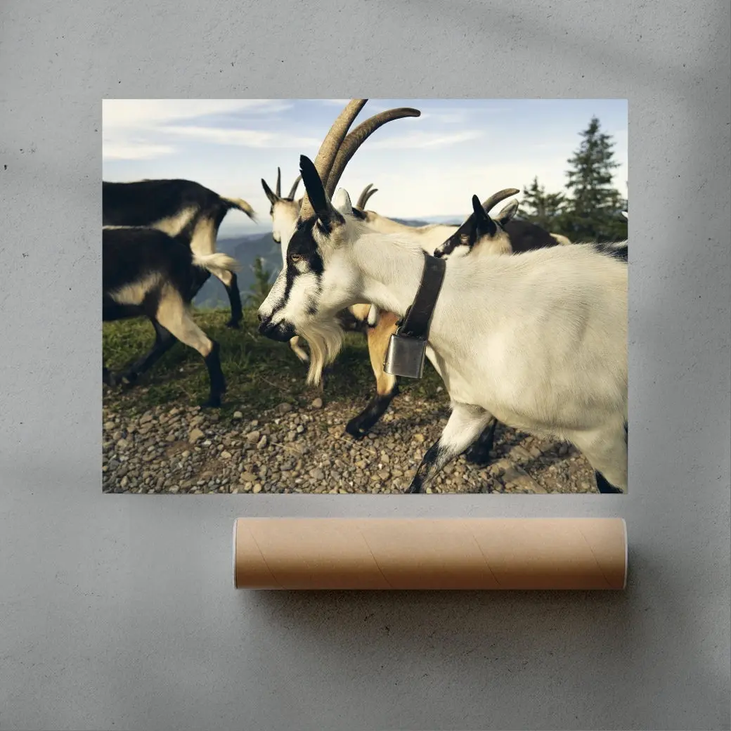 Mountain Herd - Image 3