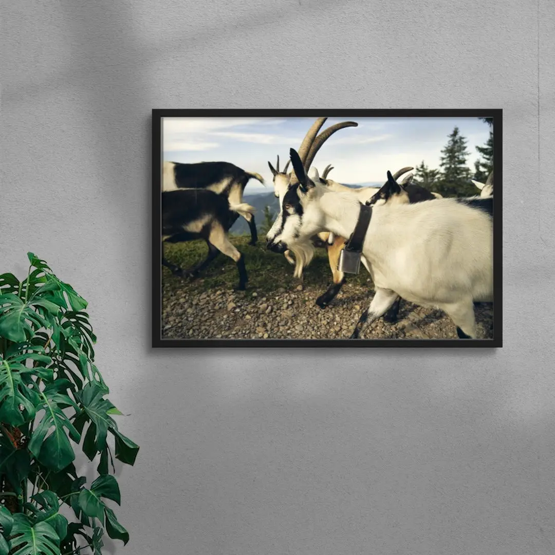 Mountain Herd - Image 4