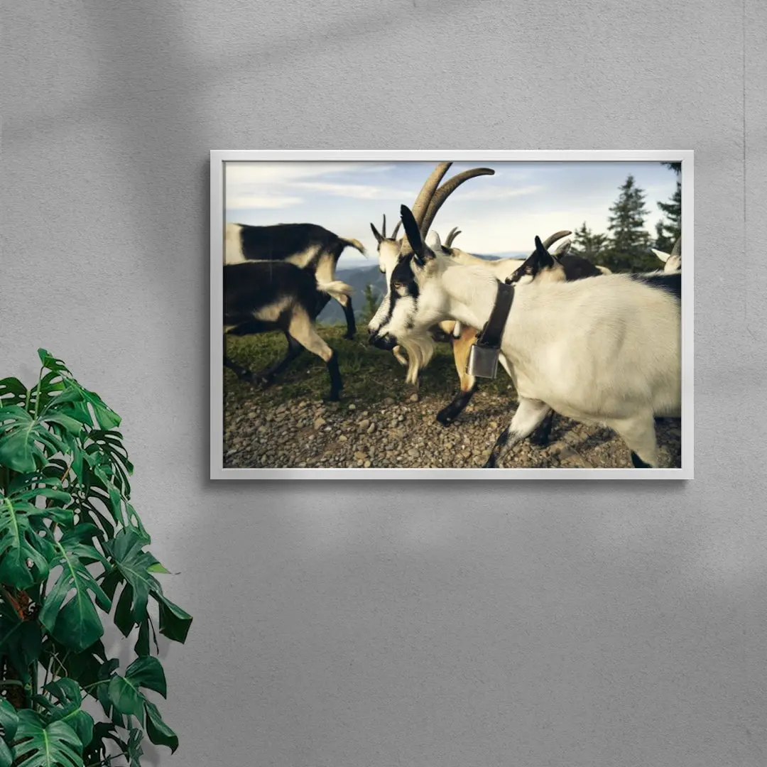 Mountain Herd - Image 5