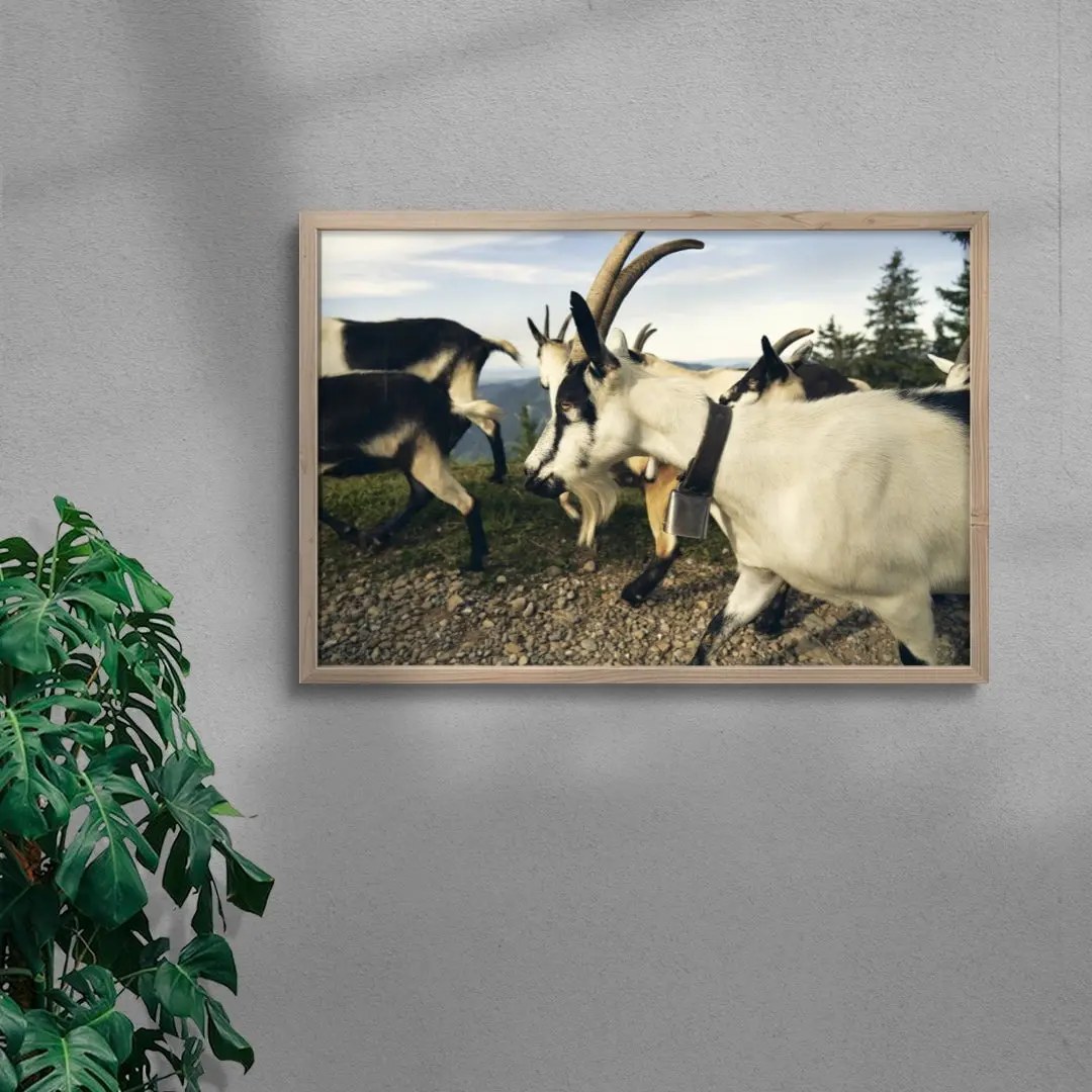 Mountain Herd - Image 6