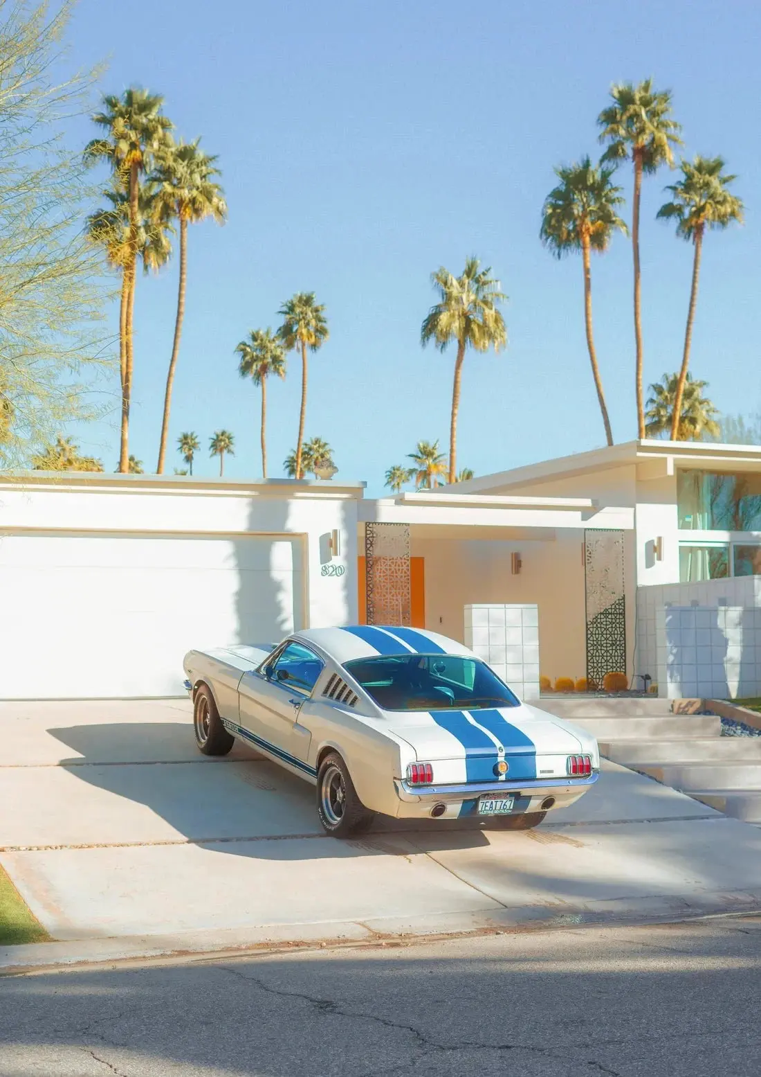 Mustang Paradise - Image 2
