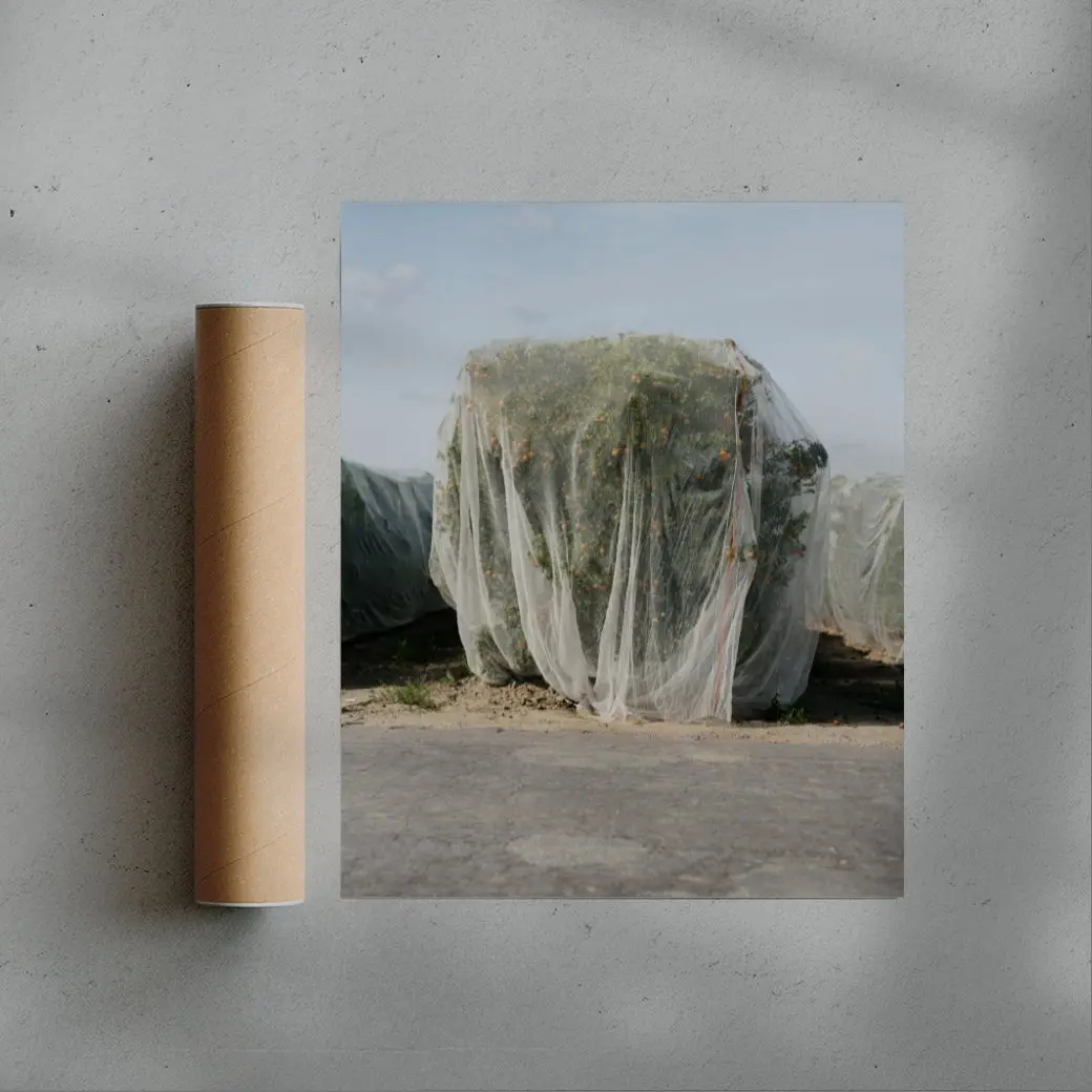Netted - Image 3