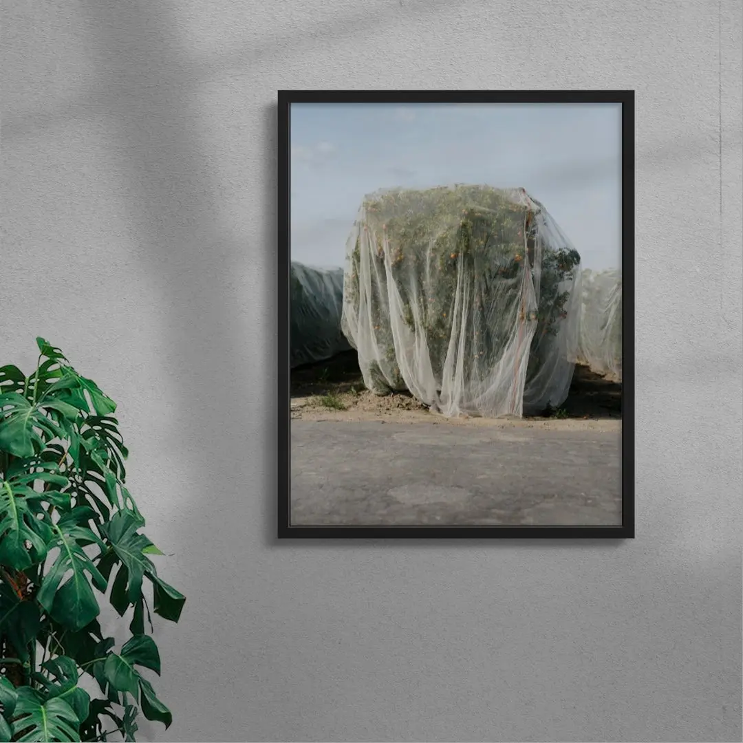 Netted - Image 4