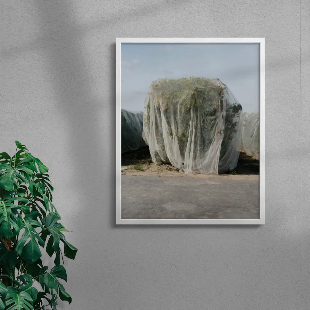 Netted - Image 5