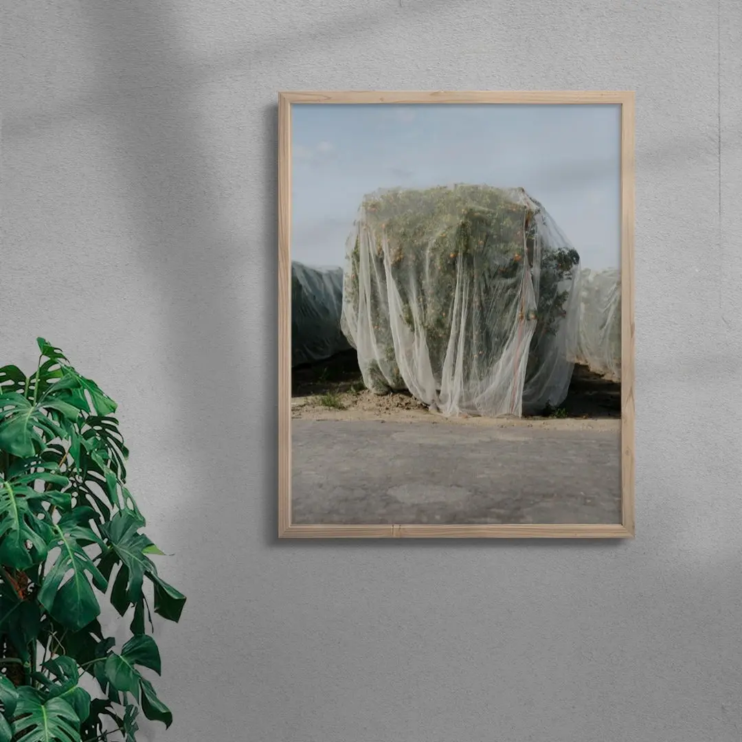 Netted - Image 6