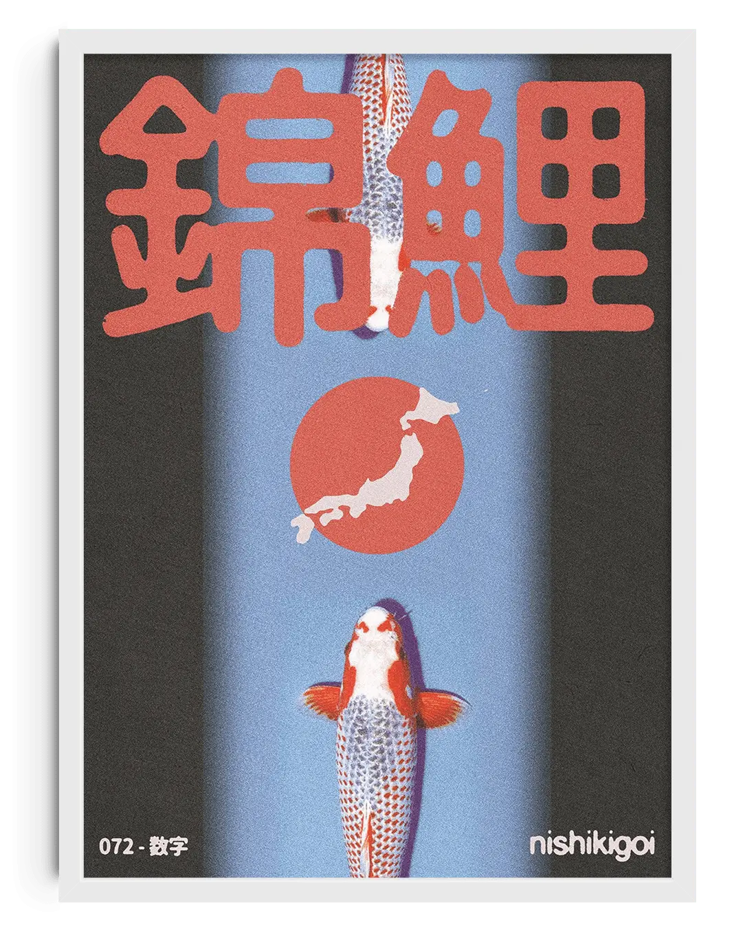 Nishikigoi - Image 6