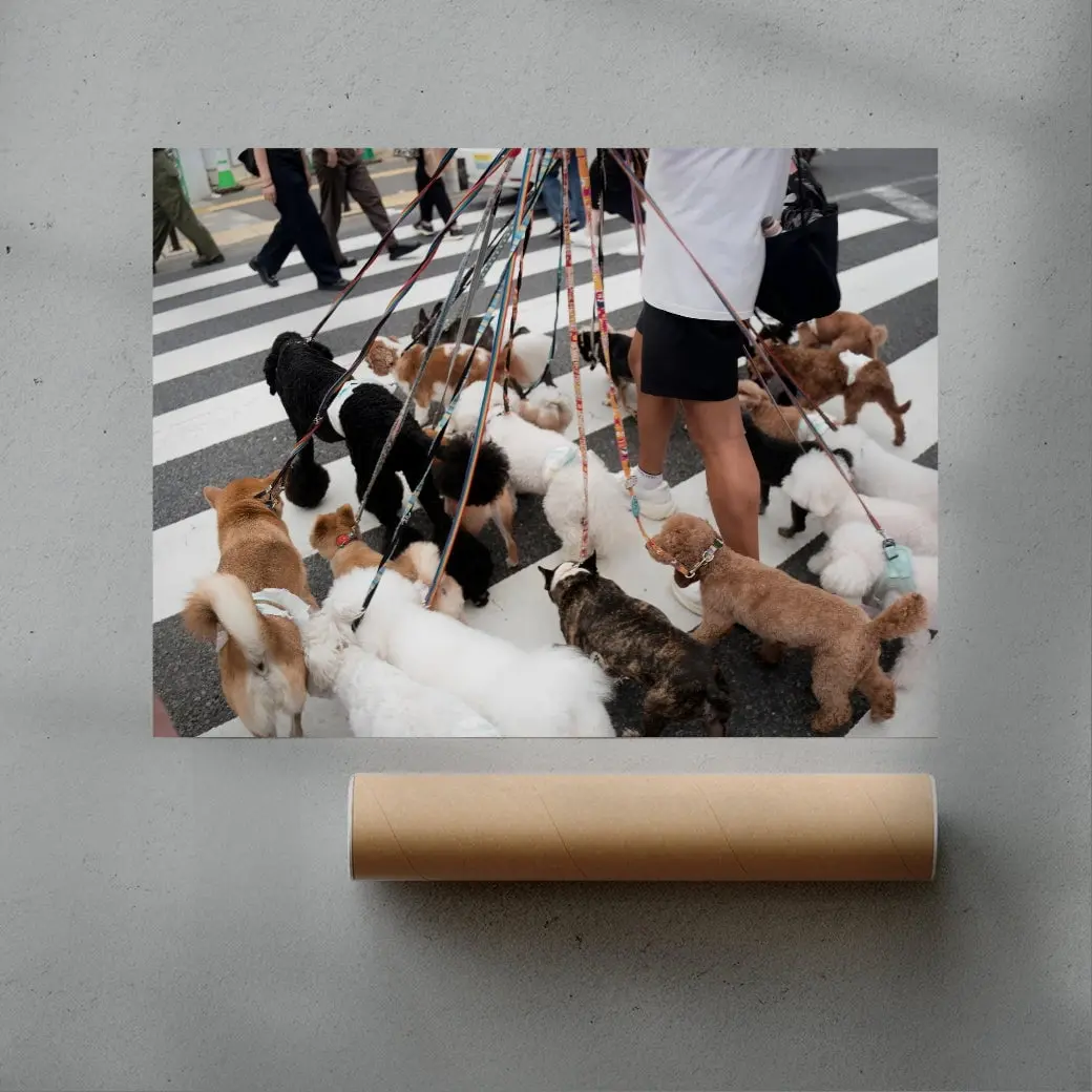 Pack Mentality - Image 3