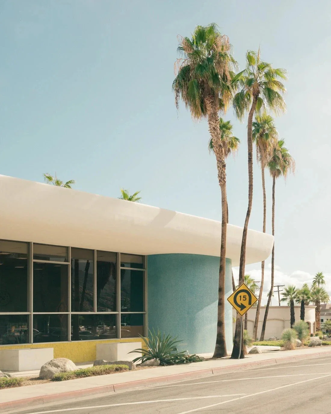 PALM SPRING - Image 2
