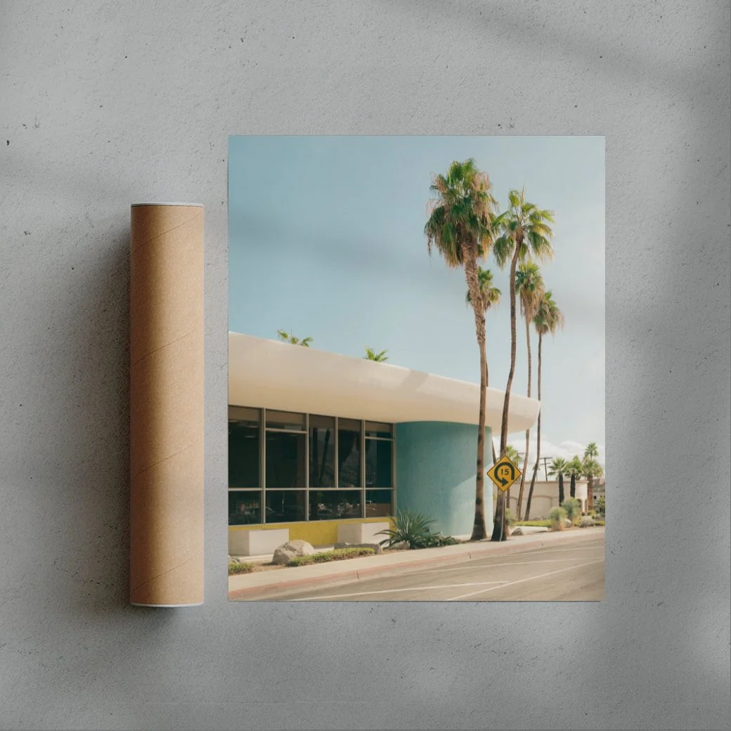 PALM SPRING - Image 3