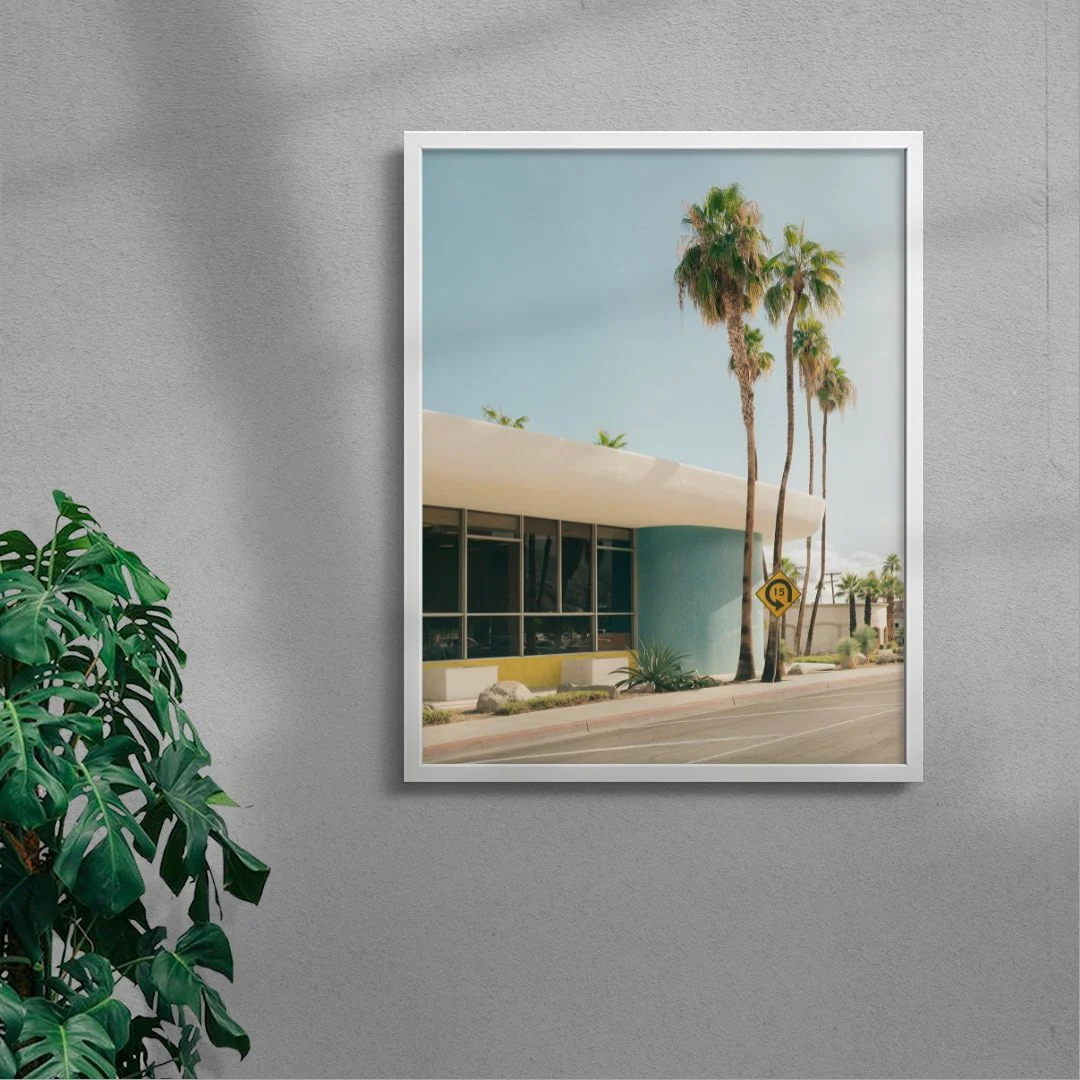 PALM SPRING - Image 5
