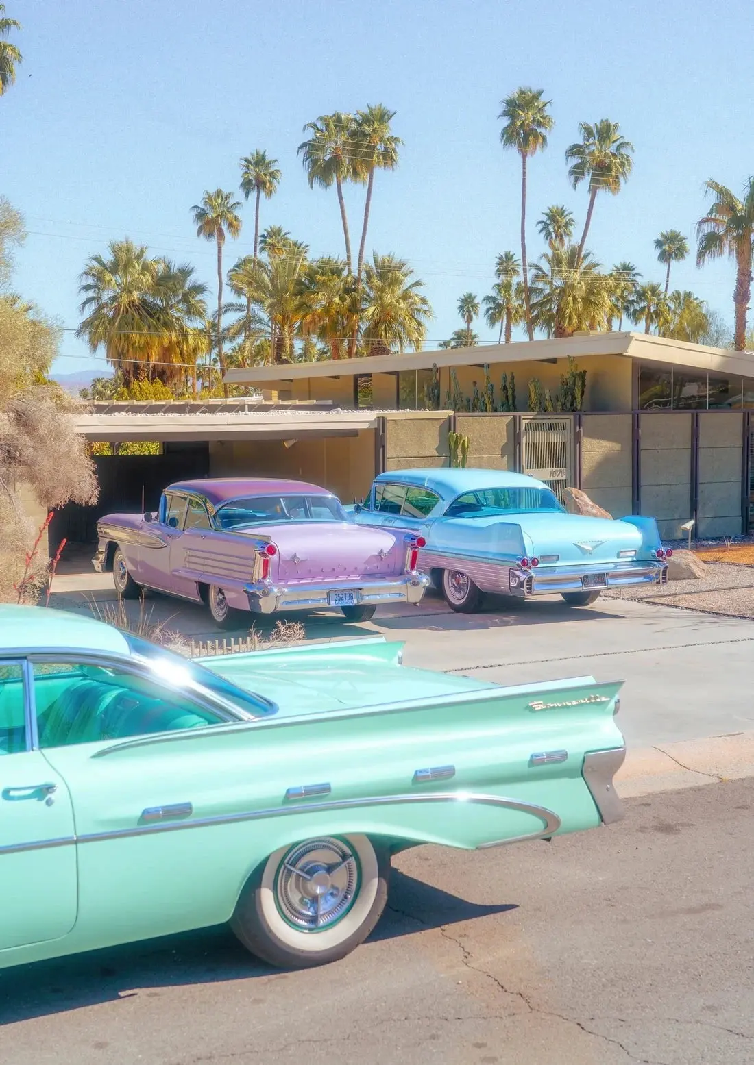 Palm Springs Paradise - Image 2
