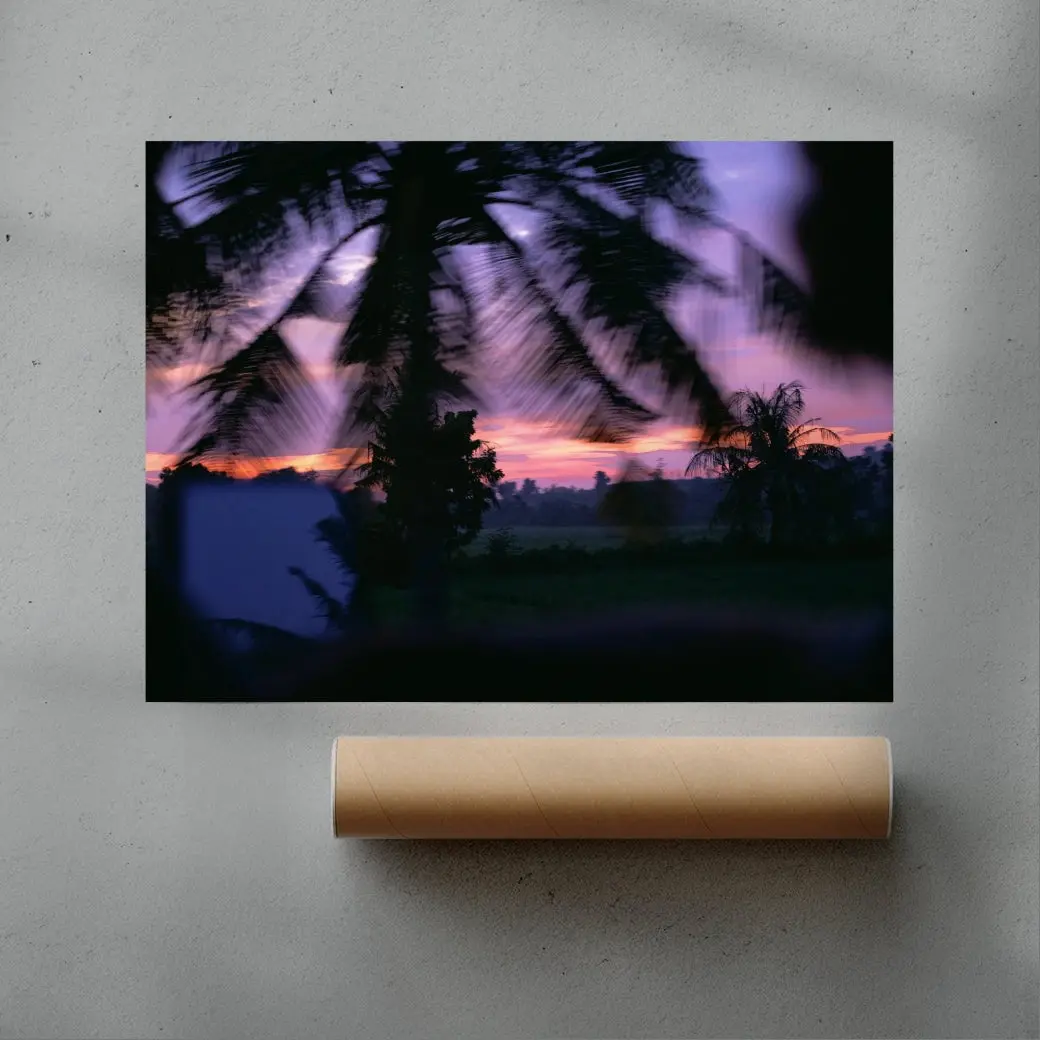 Palm Twilight - Image 3