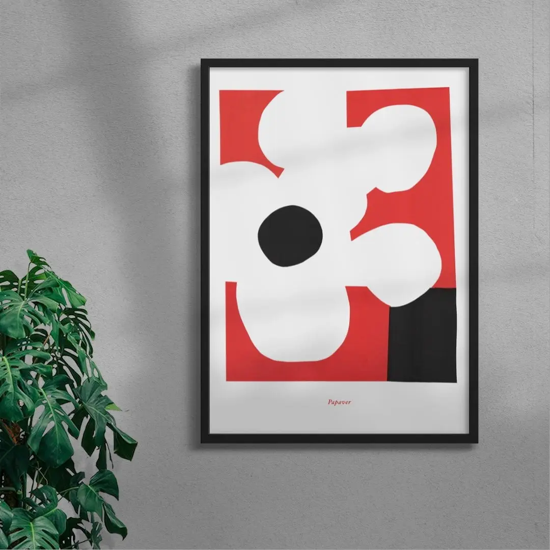 Papaver - Image 4