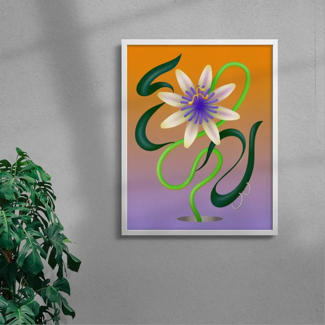 Passiflore - Image 5