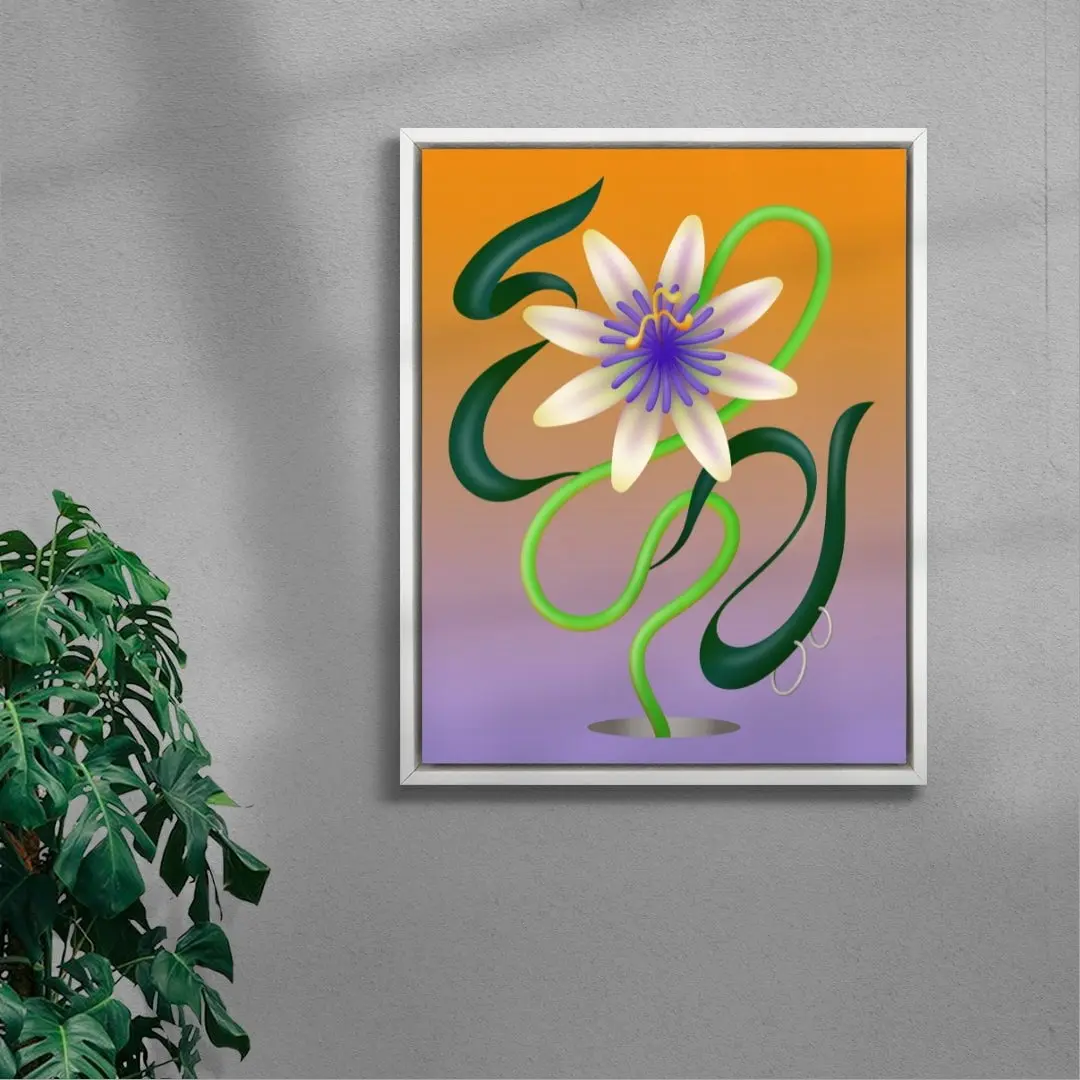 Passiflore - Image 5