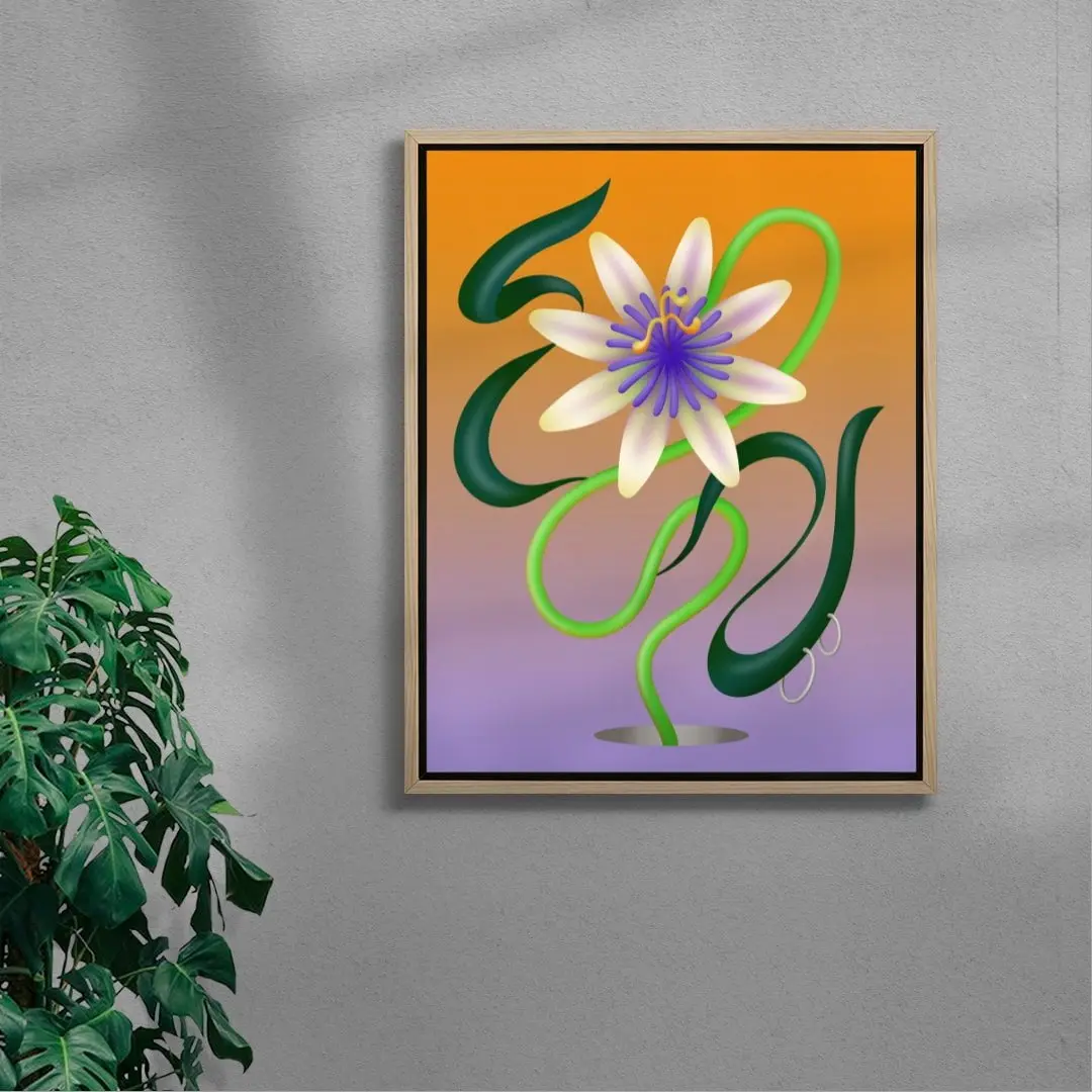 Passiflore - Image 6