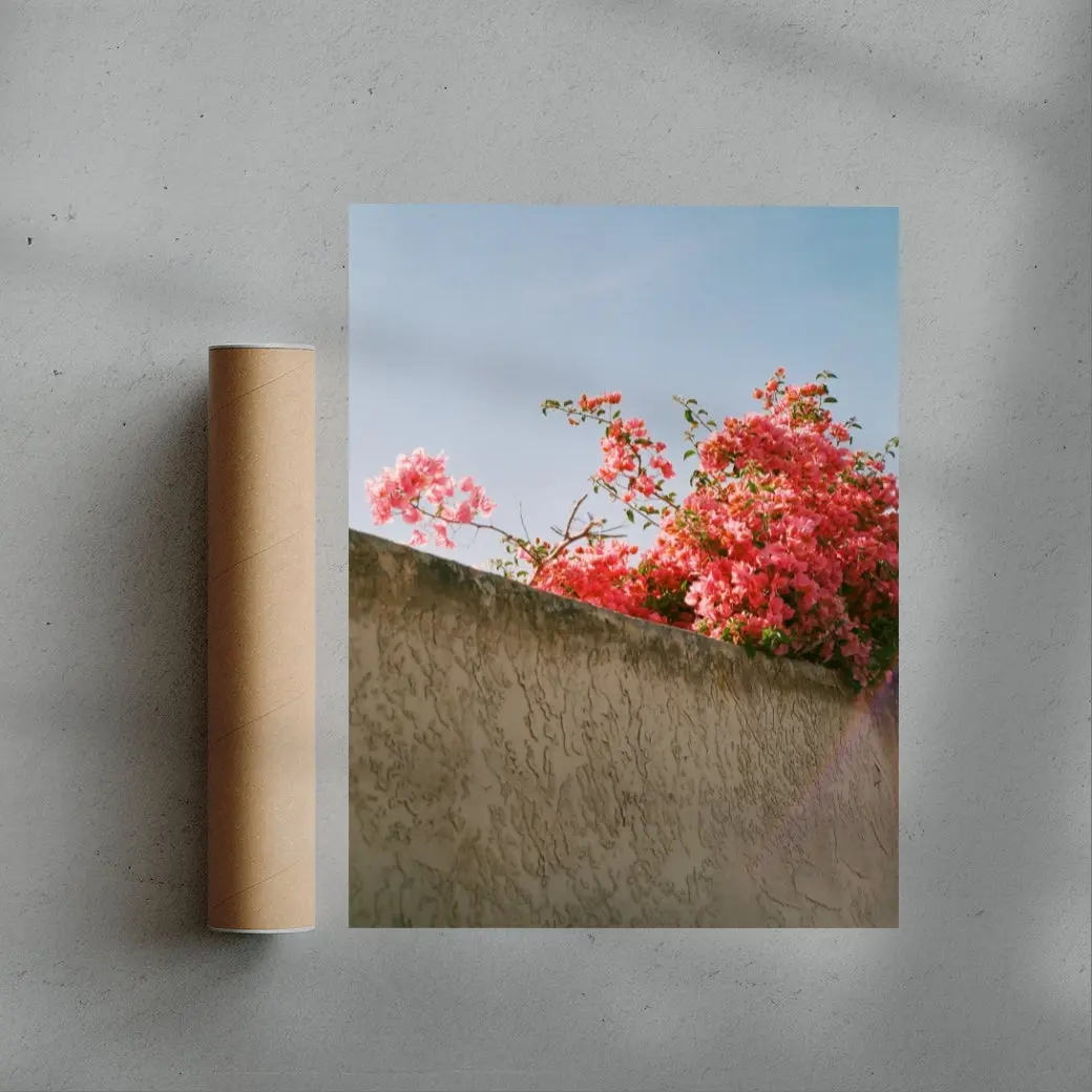Pink Bloom - Image 3