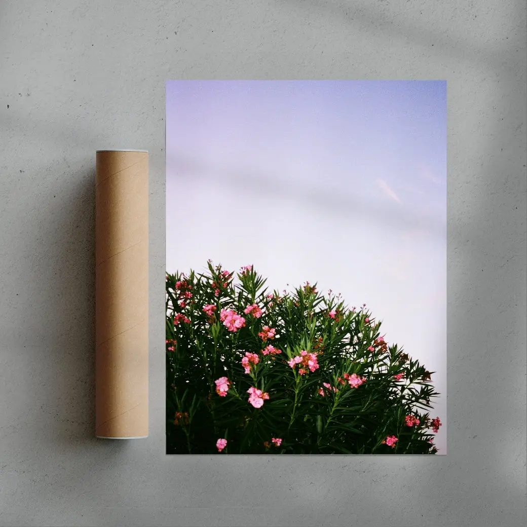 Pink Blossoms - Image 3