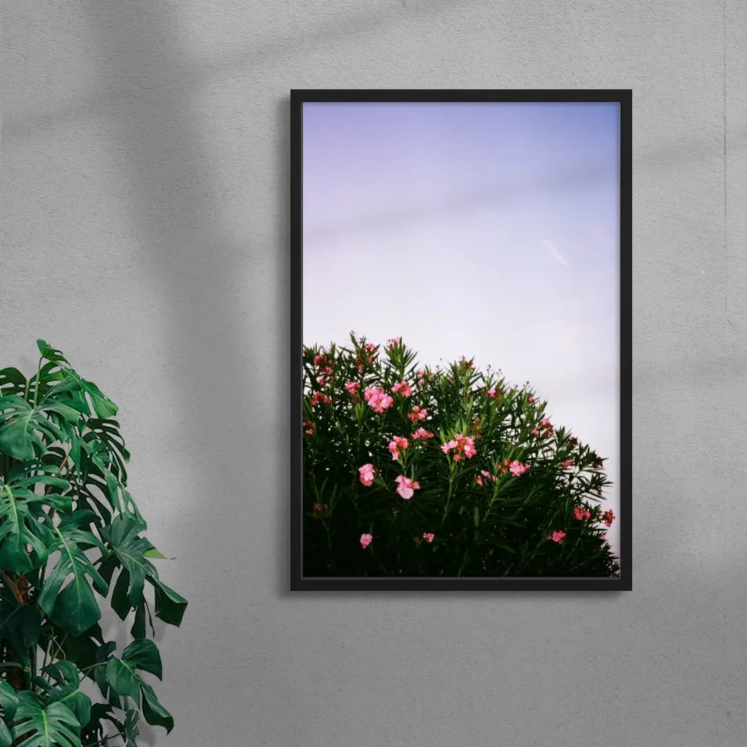 Pink Blossoms - Image 4