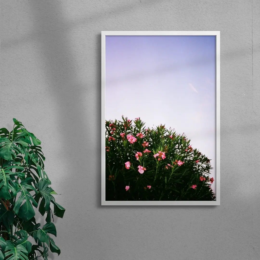 Pink Blossoms - Image 5