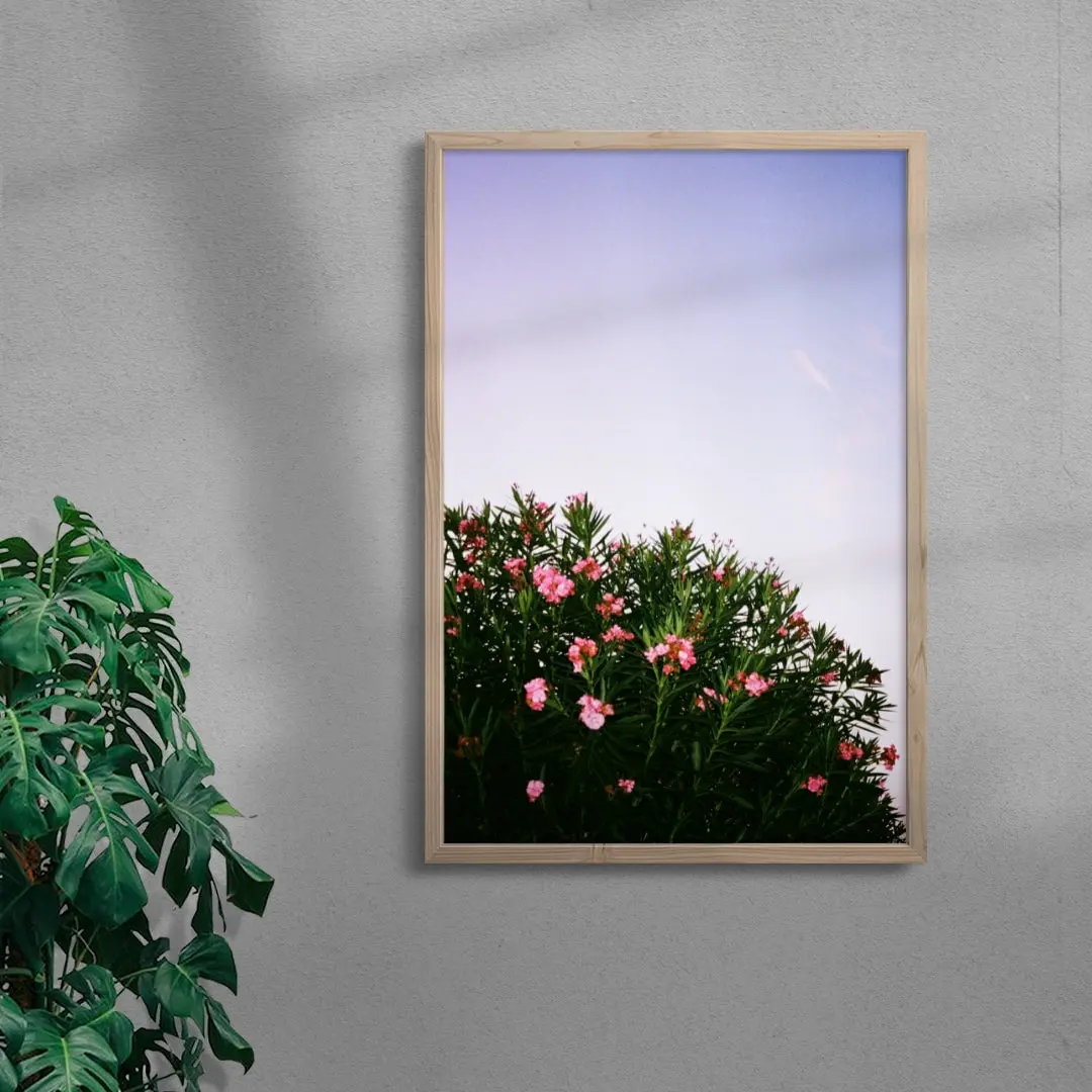 Pink Blossoms - Image 6