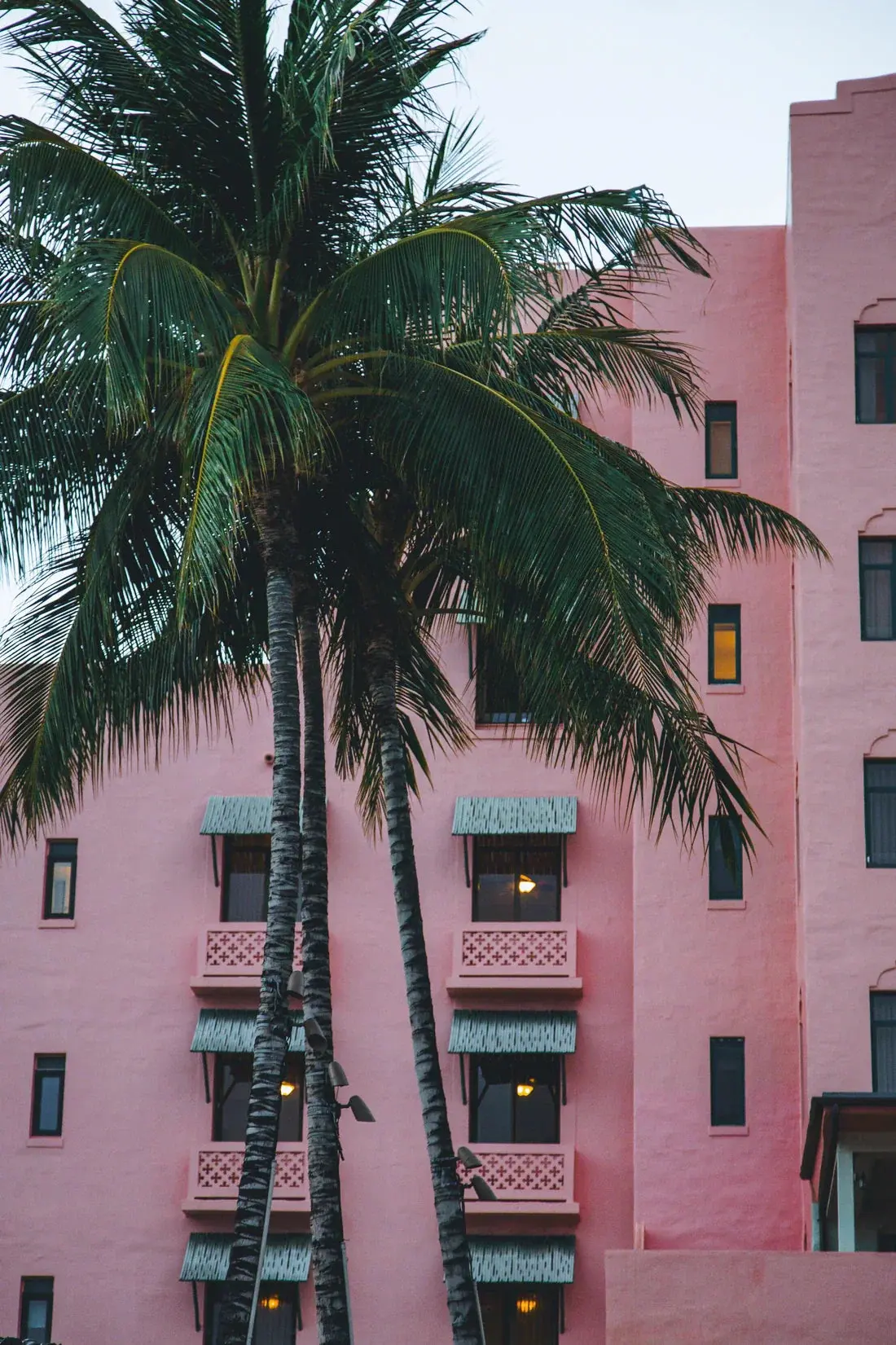 Pink Hotel - Image 2