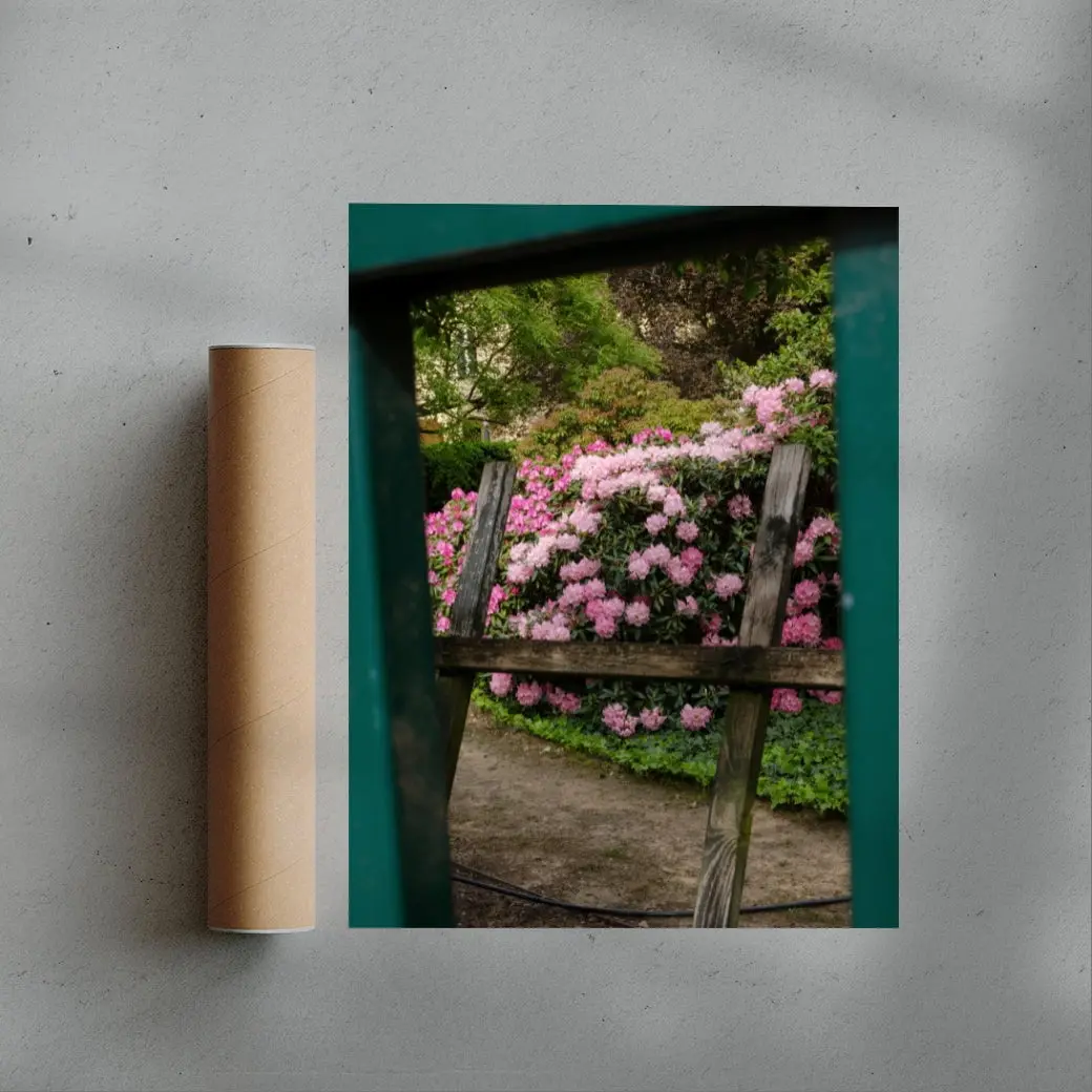 Pink Rhododendrons - Image 3