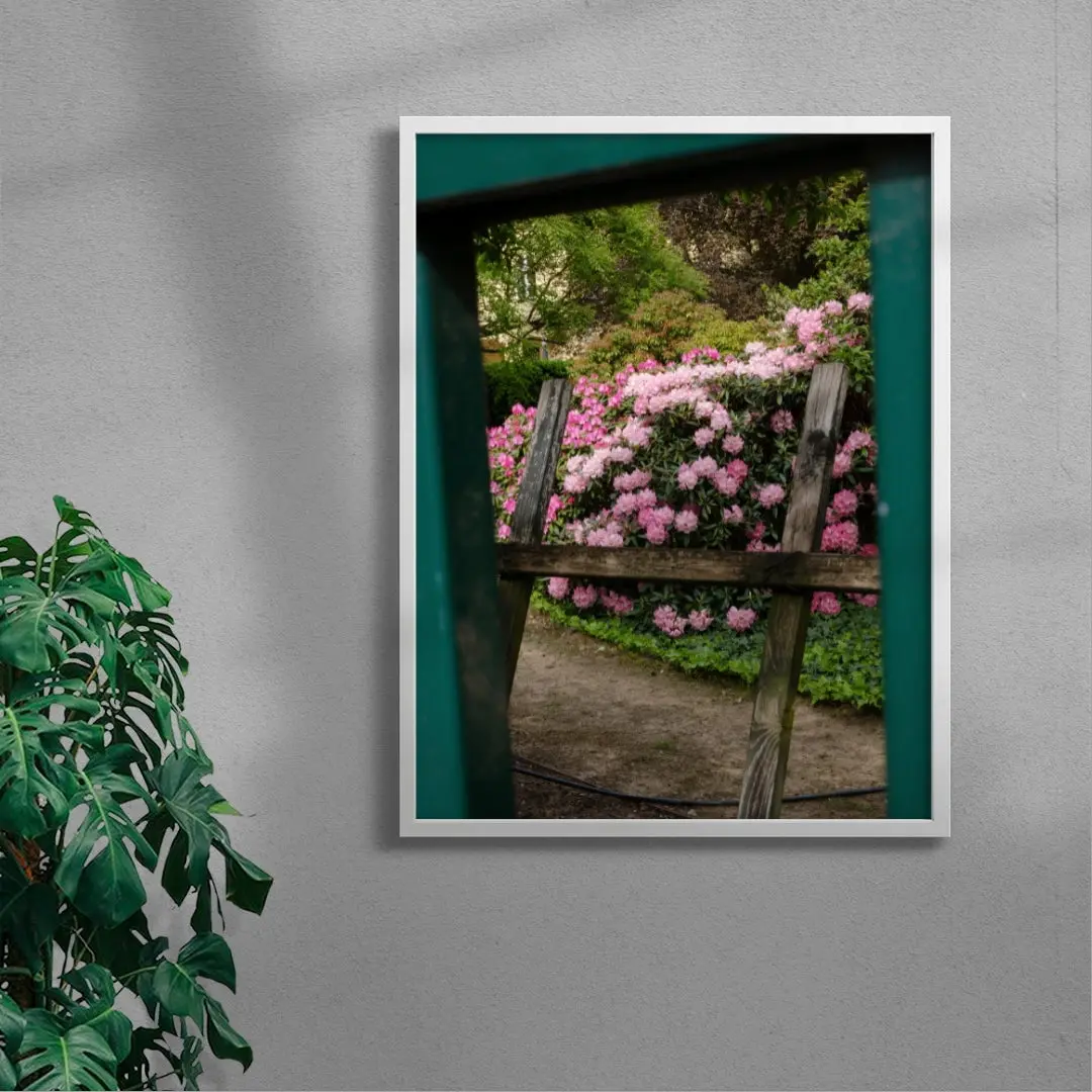 Pink Rhododendrons - Image 5