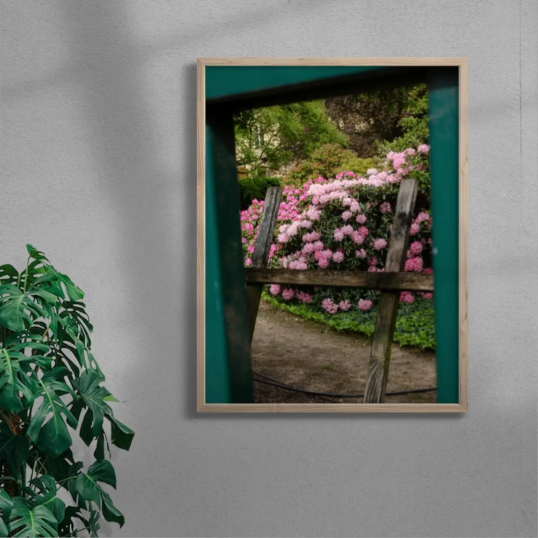 Pink Rhododendrons - Image 6