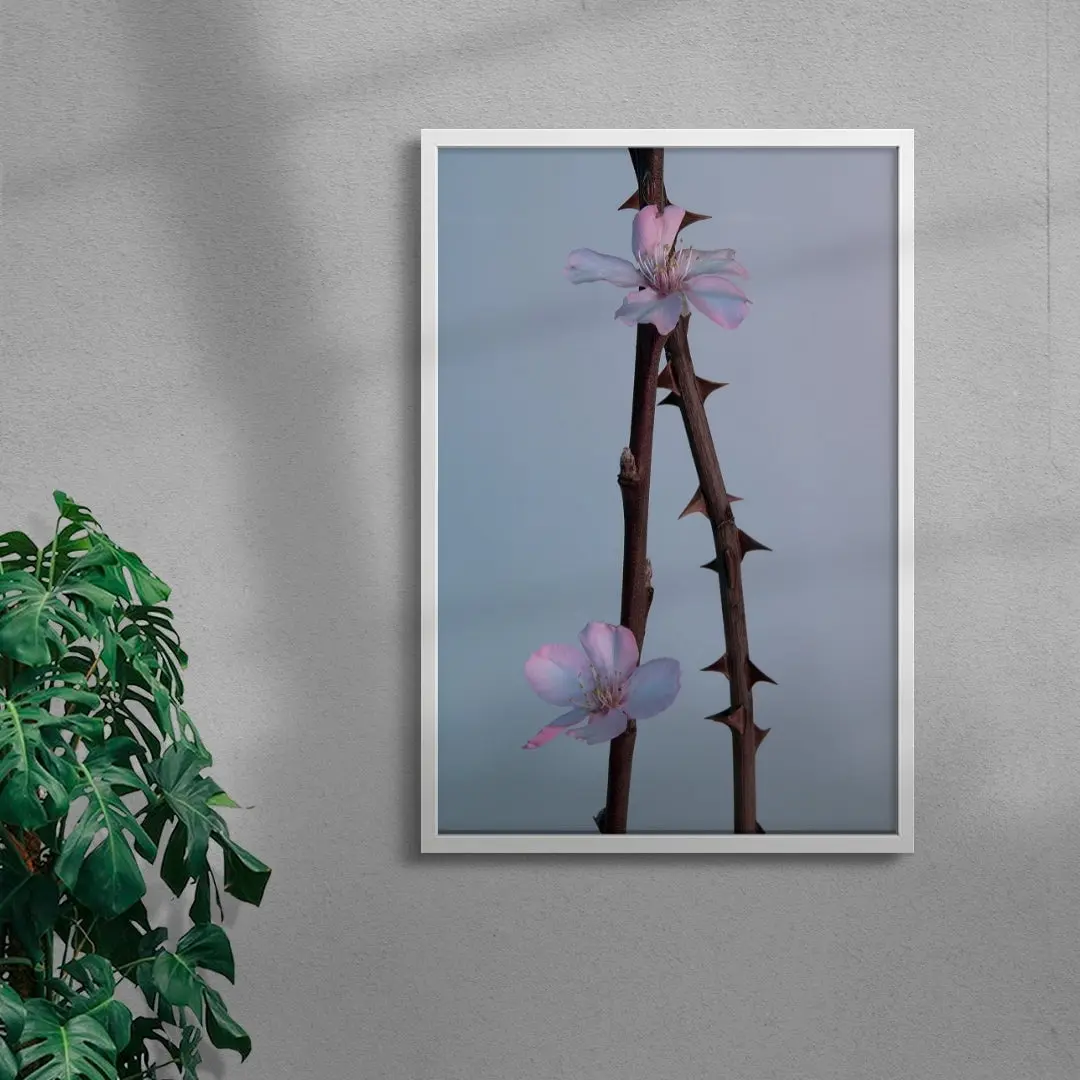 Pink thorns - Image 5