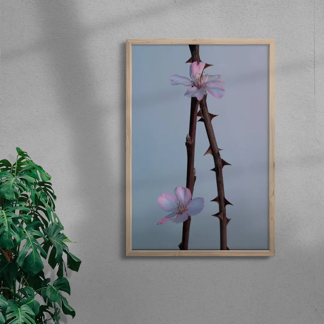 Pink thorns - Image 6