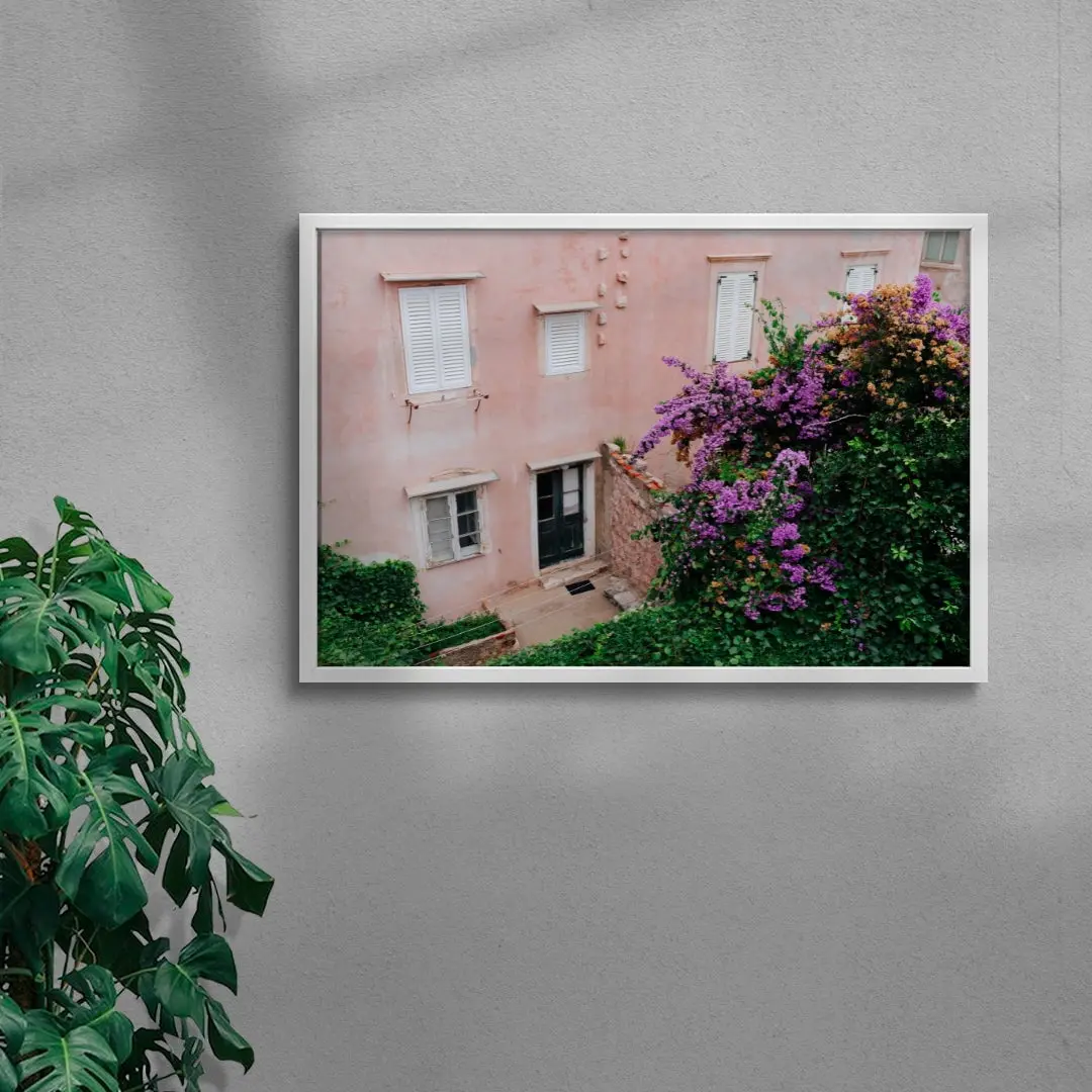 Pink Wall Bougainvillea - Image 5