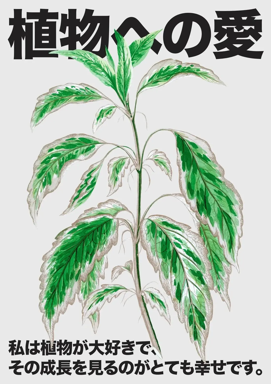 Plant Love 3 - Image 2