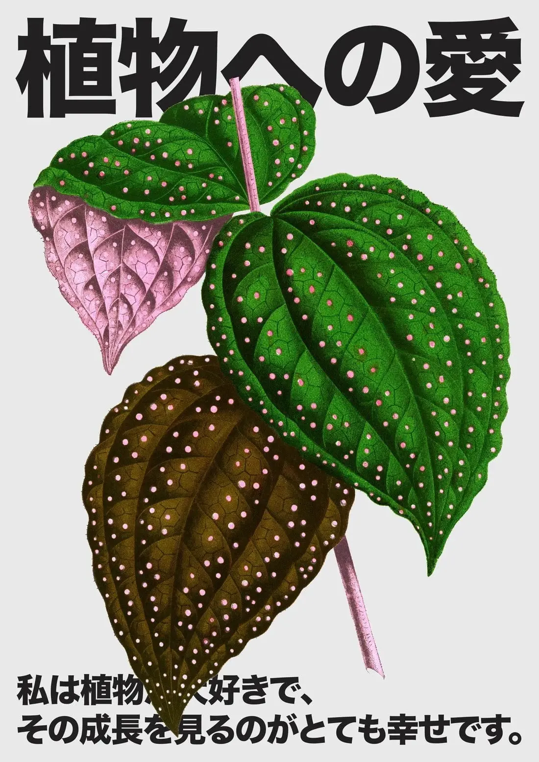 Plant Love 4 - Image 2