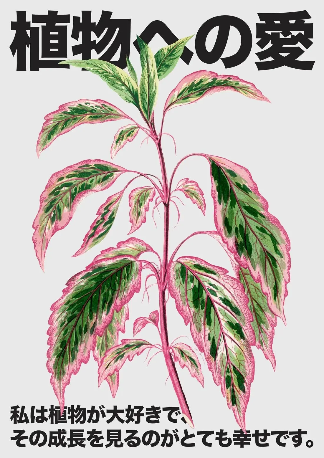 Plant Love - Image 2