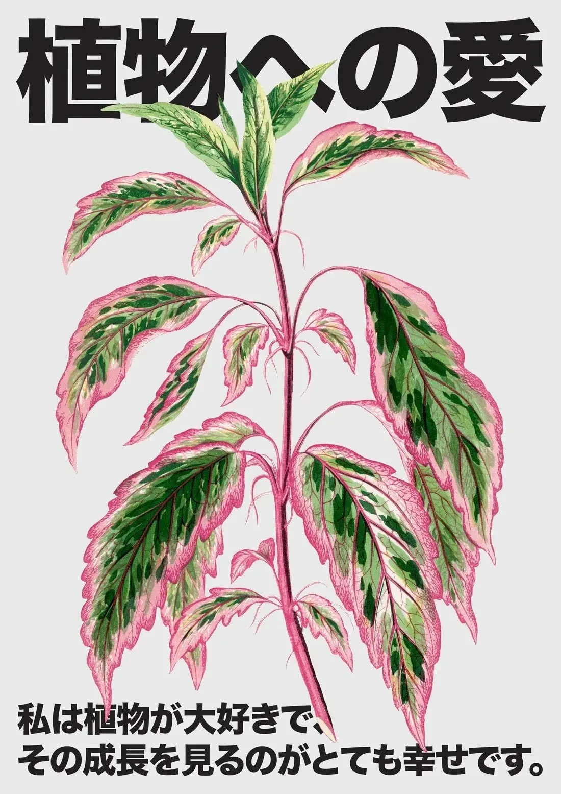 Plant Love - Image 2