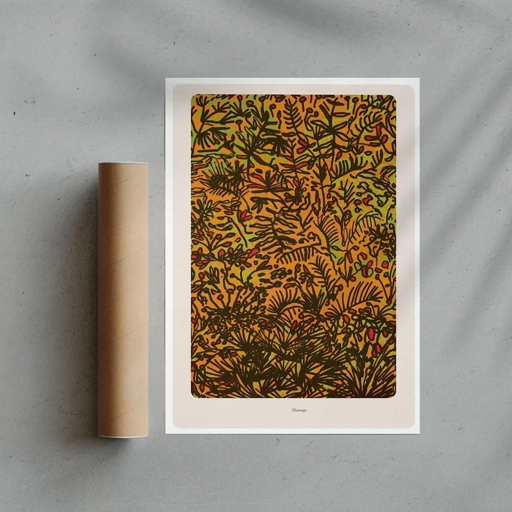 Plantago - Image 2