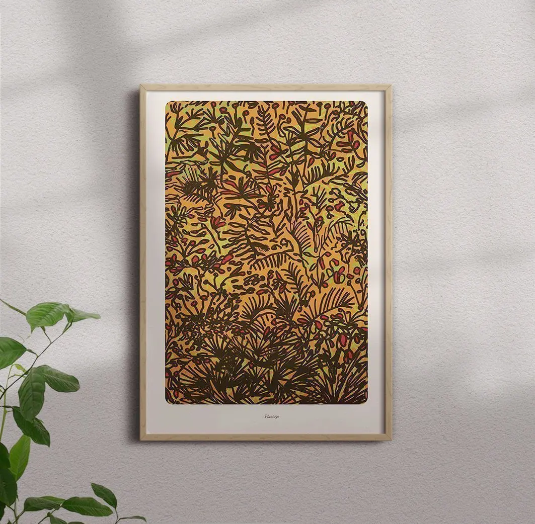 Plantago - Image 3