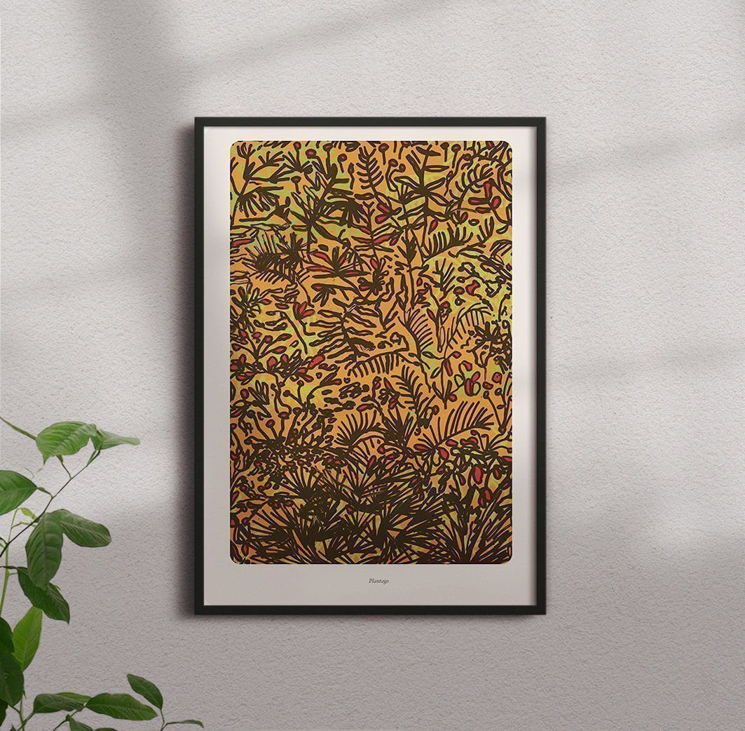 Plantago - Image 5