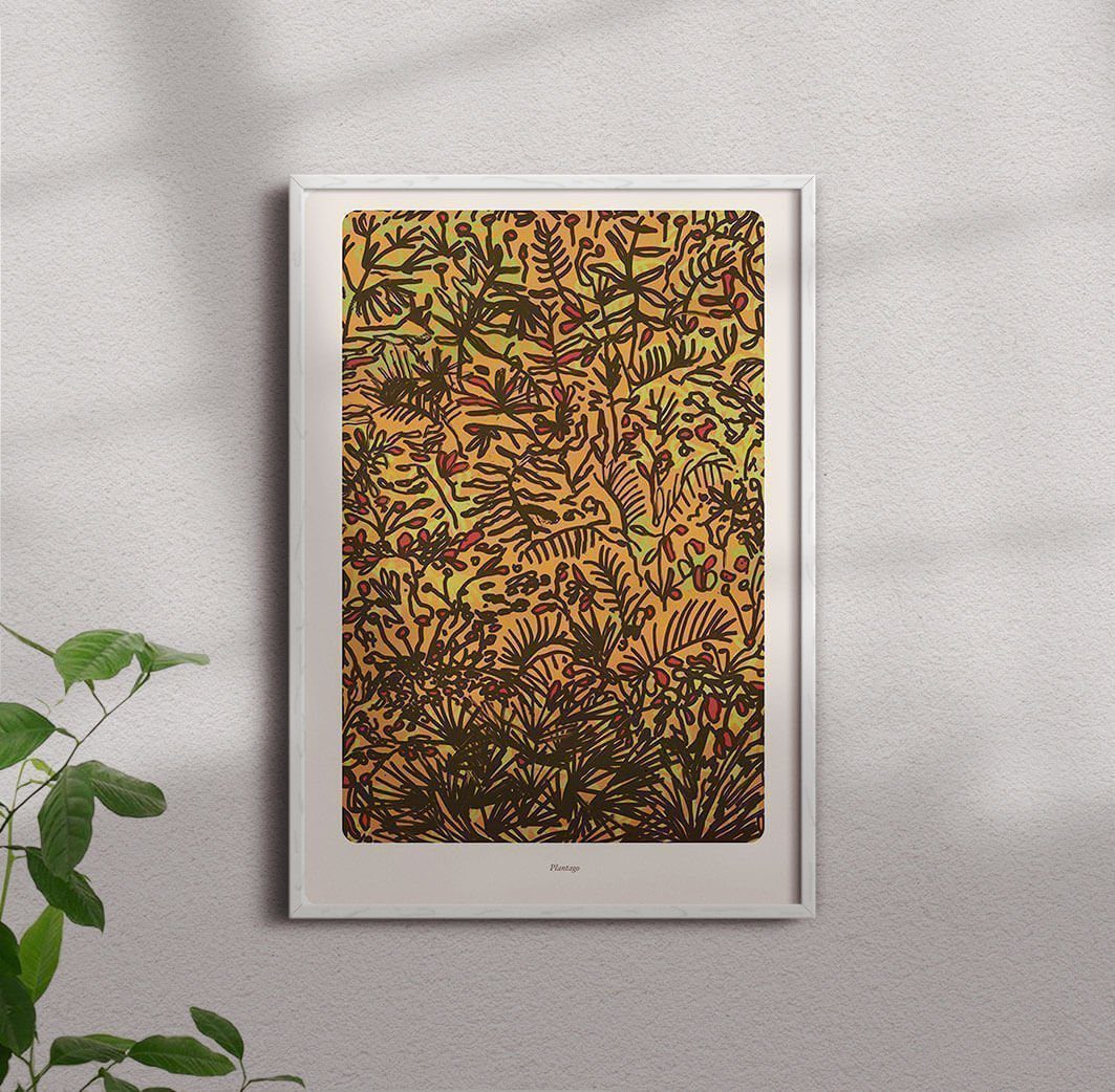 Plantago - Image 6