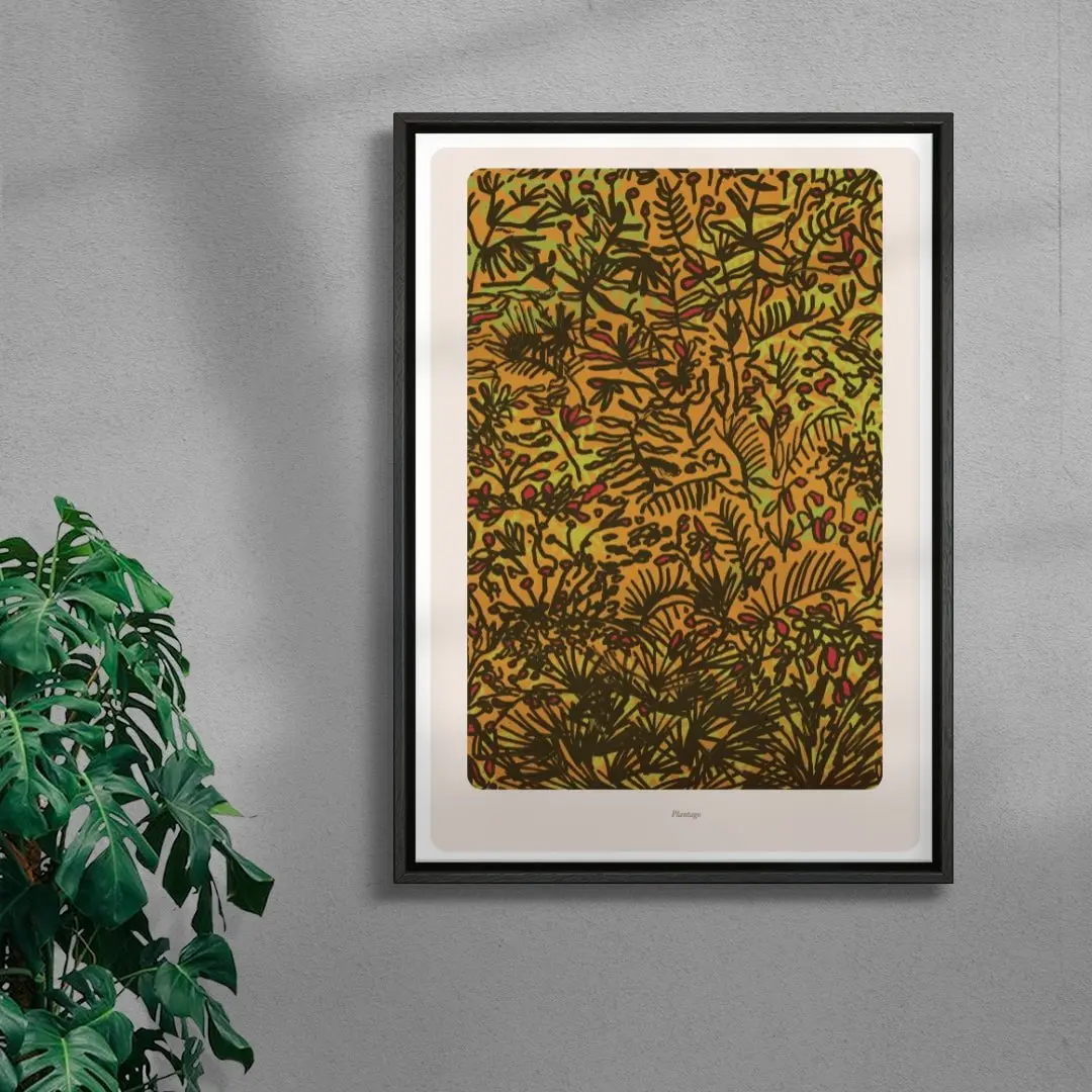 Plantago - Image 3
