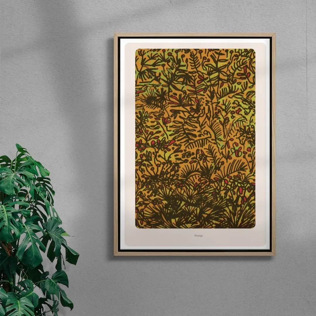 Plantago - Image 4