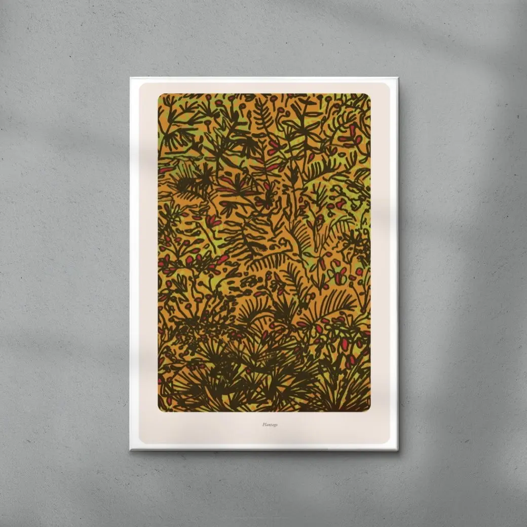 Plantago - Image 6