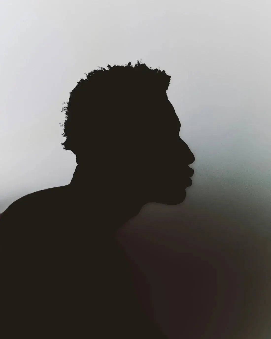 Profile Silhouette - Image 2