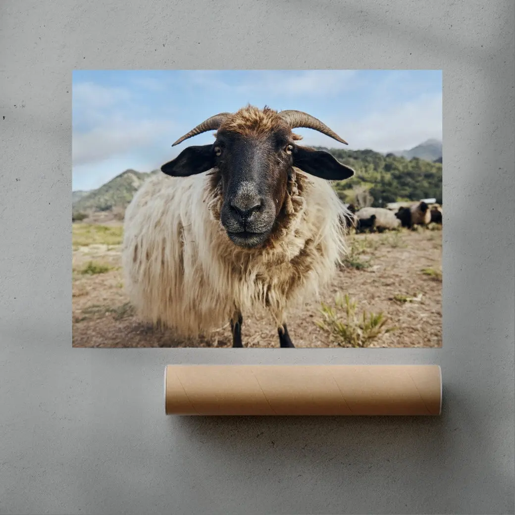 Ram Up Close - Image 3