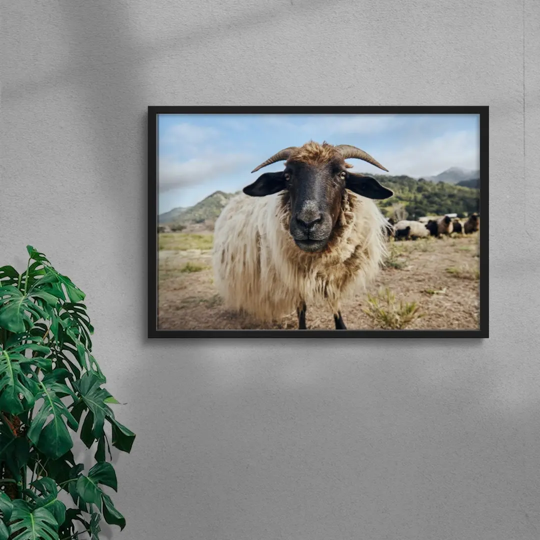 Ram Up Close - Image 4