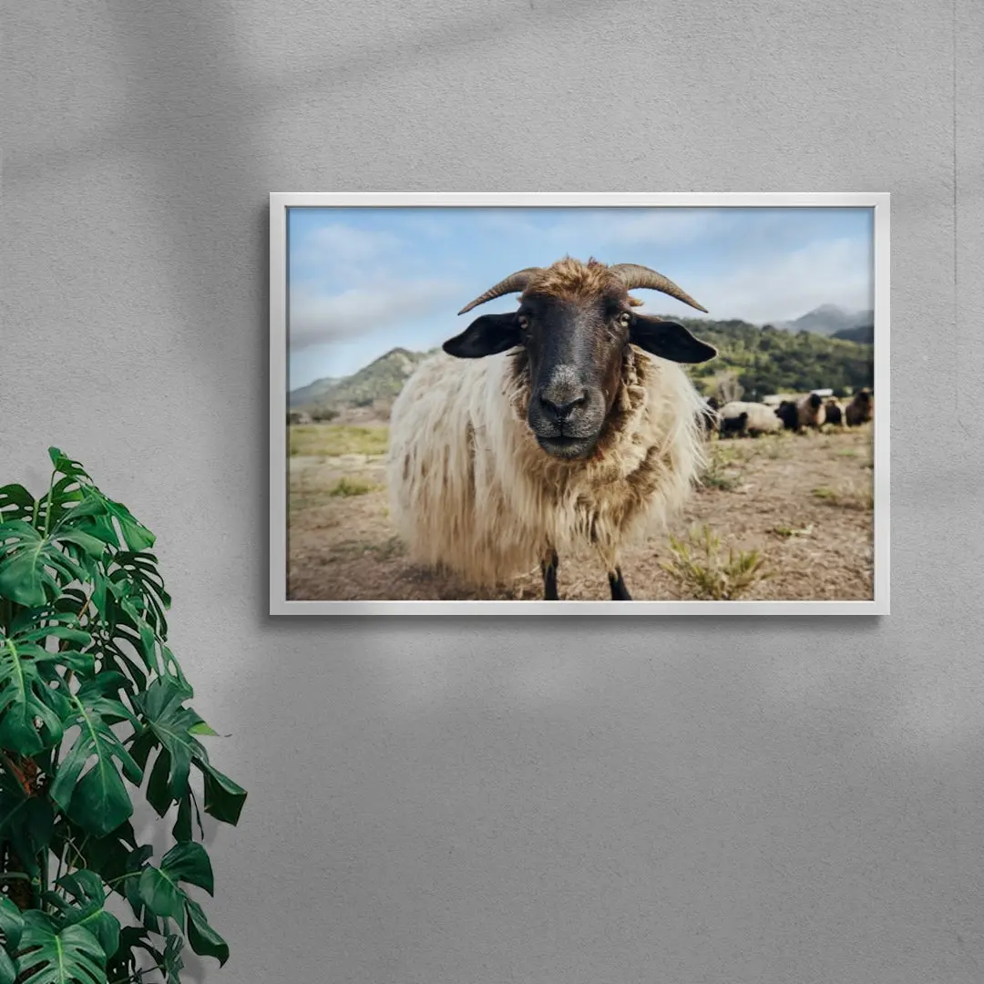 Ram Up Close - Image 5
